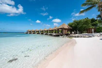 Aruba-Magazine-01-scaled